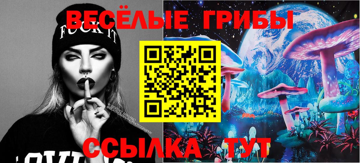 закладки  Вход с VPN  Мытищи  Псилоцибиновые грибы ЛСД 